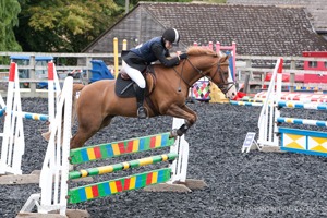 Witney Young Farmers Show. 13th August 2011